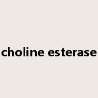 choline esterase是什么意思