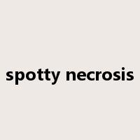 spotty necrosis是什么意思