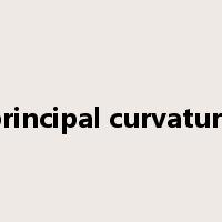 principal curvature是什么意思