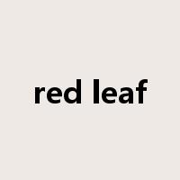 red leaf是什么意思