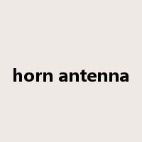 horn antenna是什么意思