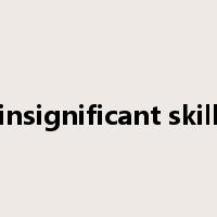 insignificant skill是什么意思