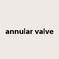 annular valve是什么意思