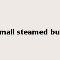 small steamed bun是什么意思