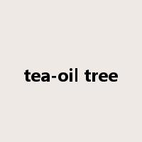 tea-oil tree是什么意思