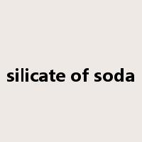 silicate of soda是什么意思
