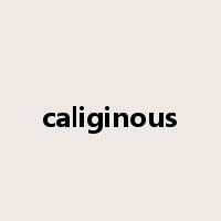 caliginous是什么意思
