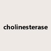 cholinesterase是什么意思