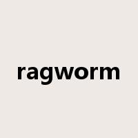 ragworm是什么意思