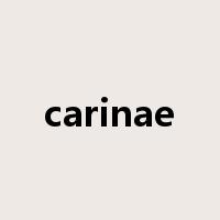 carinae是什么意思