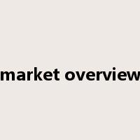 market overview是什么意思