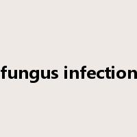 fungus infection是什么意思