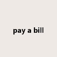 pay a bill是什么意思