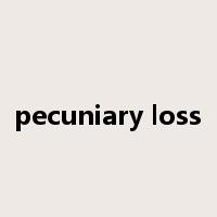 pecuniary loss是什么意思
