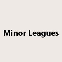 Minor Leagues是什么意思