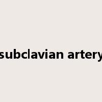 subclavian artery是什么意思