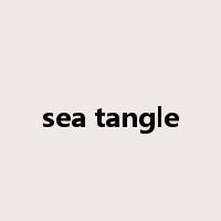 sea tangle是什么意思