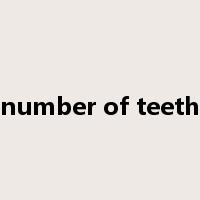 number of teeth是什么意思