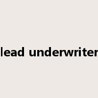 lead underwriter是什么意思