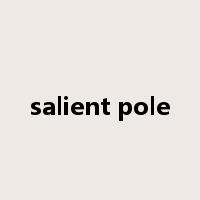 salient pole是什么意思