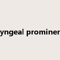laryngeal prominence是什么意思
