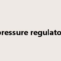 pressure regulator是什么意思