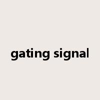 gating signal是什么意思