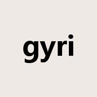 gyri是什么意思