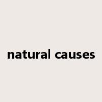 natural causes是什么意思