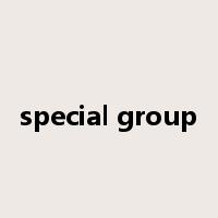 special group是什么意思