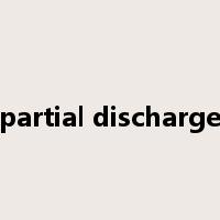 partial discharge是什么意思