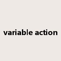 variable action是什么意思