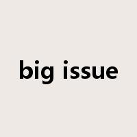 big issue是什么意思
