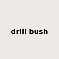 drill bush是什么意思