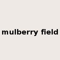 mulberry field是什么意思