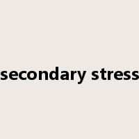 secondary stress是什么意思