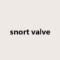 snort valve是什么意思