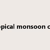 subtropical monsoon climate是什么意思