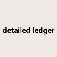 detailed ledger是什么意思