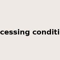 processing conditions是什么意思