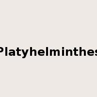 Platyhelminthes是什么意思