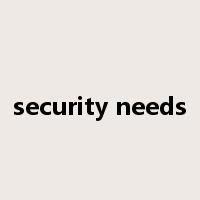 security needs是什么意思