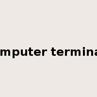 computer terminals是什么意思