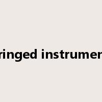 stringed instruments是什么意思
