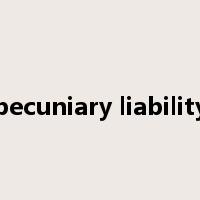 pecuniary liability是什么意思