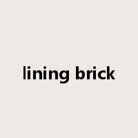 lining brick是什么意思