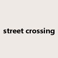 street crossing是什么意思