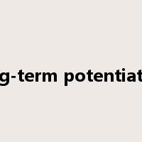 long-term potentiation是什么意思