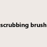 scrubbing brush是什么意思
