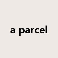 a parcel是什么意思
